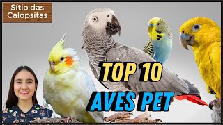 Top 10 Aves Pet