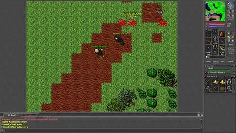 Old Tibia - Random PK & loosing Skull in cycs (2005 7.6)