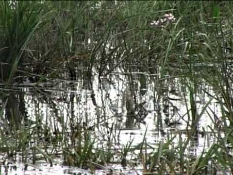 Рыболовные путешествия: Ультра-лайт