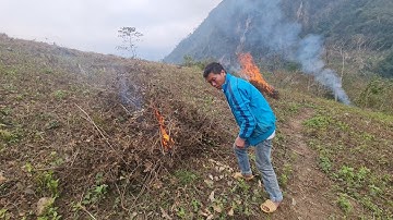 Cói Lalin Cùng Anh Sáng Đi Dọn Nương