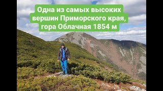 Восхождение на гору Облачная, 1854м, Чугуевский район,Приморский край