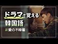 ｜韓国ドラマ｜台詞で覚える韓国語 (愛の不時着)