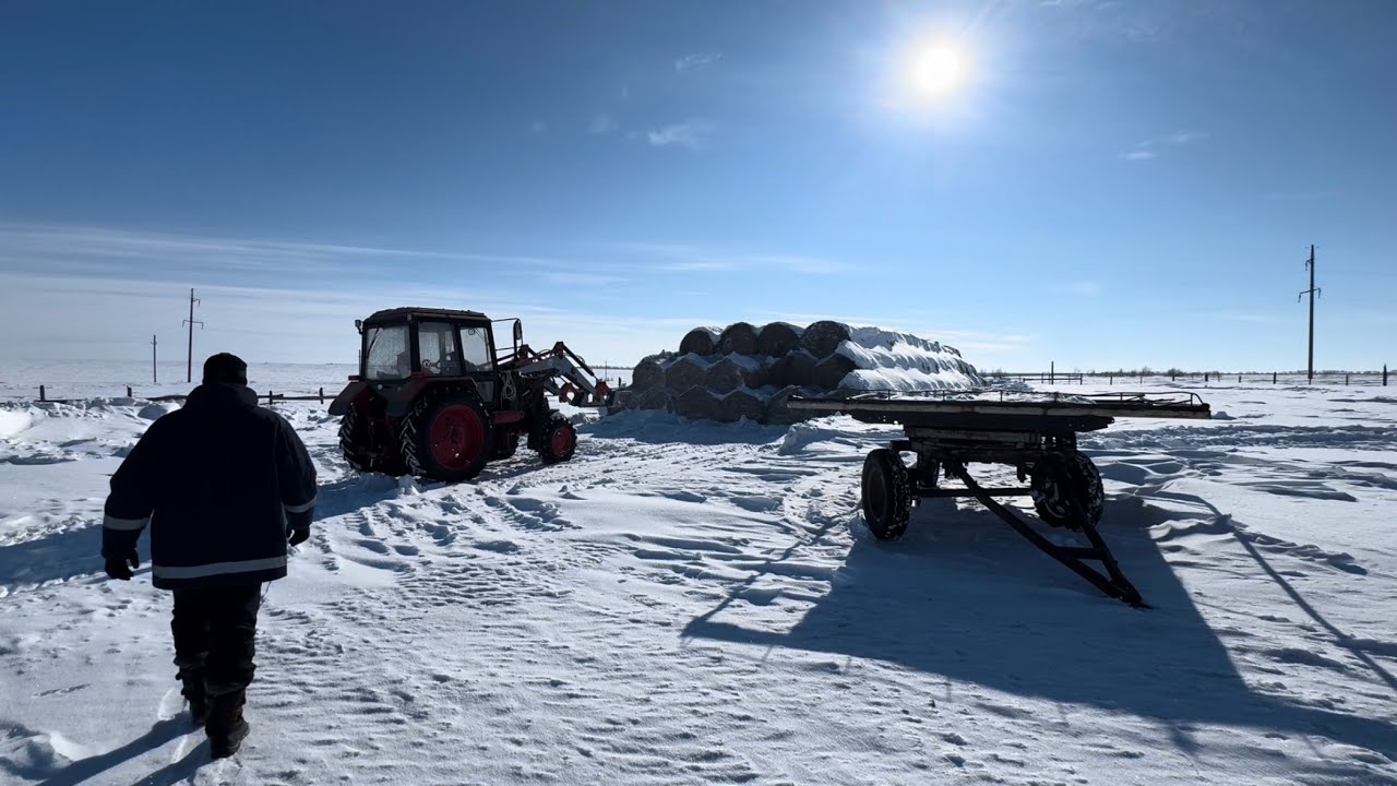 КХ В КАЗАХСТАНЕ, СТЕПЬ, ЗИМА, ПЧЕЛЫ, ДЕНЬ НА ХОЗЯЙСТВЕ