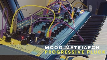 Moog Matriarch  - Progressive Pluck