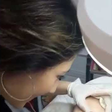 IMG 4624