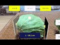 【Agri-AR】サイズ計測（ノギス式）_20230731