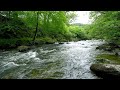 Mountain River Flowing Sounds 24 7 Nature Sounds White Noise Flowing Water For Deep Sleep Relax