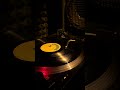 Viceroys - They Can’t Stop Us Now | Vinyl | Roots Reggae #vinyloftoday #music