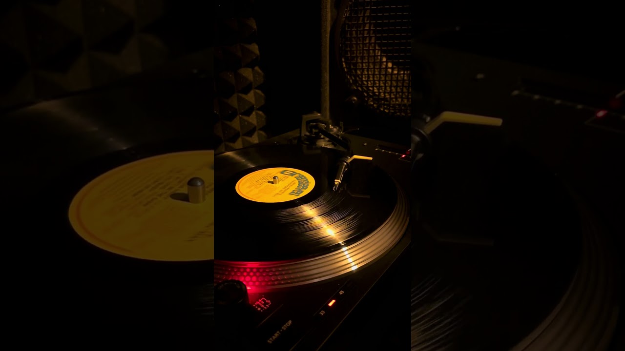 Viceroys - They Can’t Stop Us Now | Vinyl | Roots Reggae 