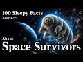The Most Relaxing Facts About Tardigrades to Fall Asleep To — No Adverts