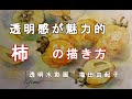 【透明水彩画】柿をあっさりと描く