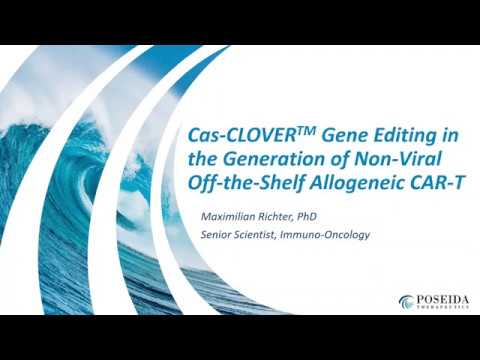 Cas-CLOVER Gene Editing In Generation Of Non-Viral Off-The-Shelf Allogeneic CAR-T (POSEIDA)
