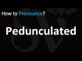 How to Pronounce Pedunculated