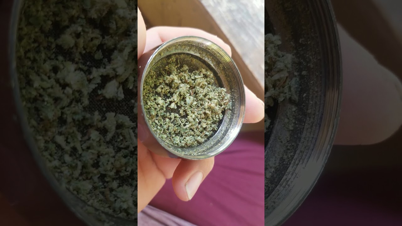 Death star strain review  =]