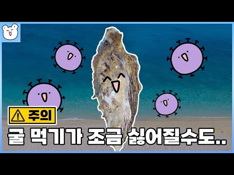 왜 굴을 먹고 노로바이러스에 걸린 사람이 많은 걸까?|노로바이러스 감염에 대한 불편한 진실