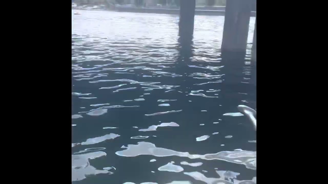 Riverclyde Cardwell Bay