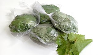 How to Store Vine Leaf? | Storing Vine Leaves in the Freezer