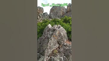 تلاوة رائعة وصوت عذاب | القارئ مصطفى كسوبة