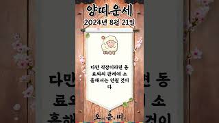 오늘의 양띠 운세 2024년 8월 21일 #양띠 #오늘의운세 #내일의운세 #운세 #운세쇼츠