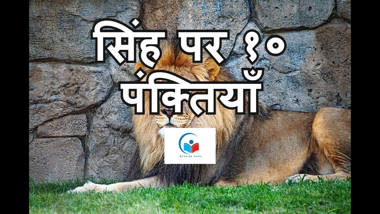 lion essay in hindi 10 lines