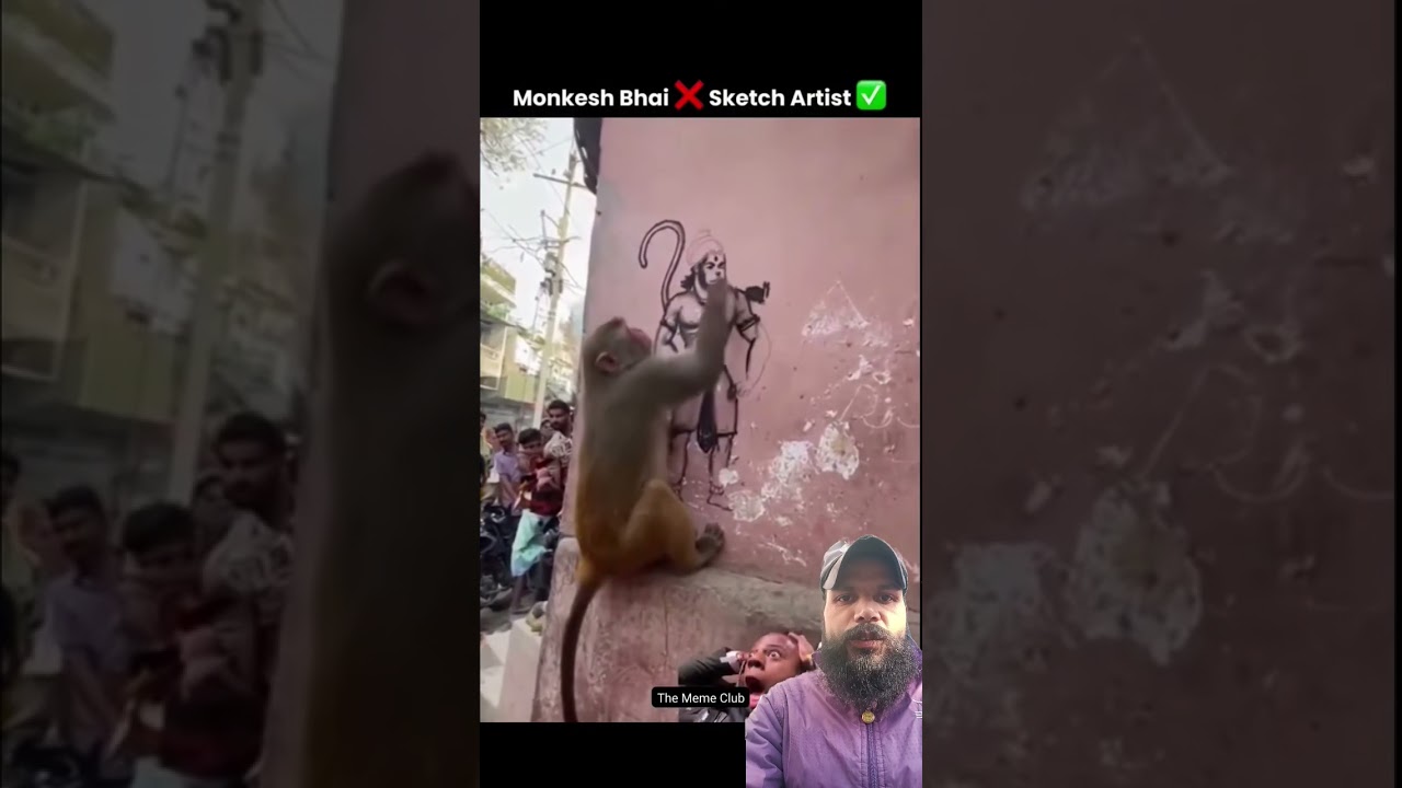 A disabled duckling helps his cat friend 🐥 