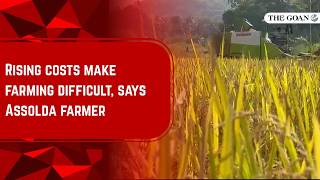 Rising costs make farming difficult, says Assolda farmer