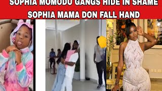 видео: Банды Софии Момоду прячутся от стыда, пока мама Софии Момоду просит у Давидо денег из-за Имаде Чи... картинка: Банды Софии Момоду прячутся от стыда, пока мама Софии Момоду просит у Давидо денег из-за Имаде Чи...