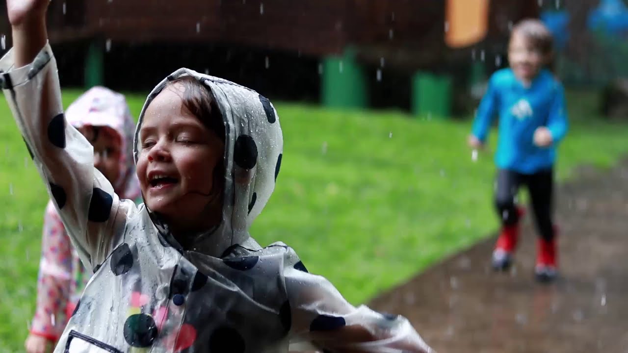 The Importance of Environmental Education