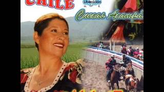 Video thumbnail of "Mirtha Iturra Caballo de peumo seco"