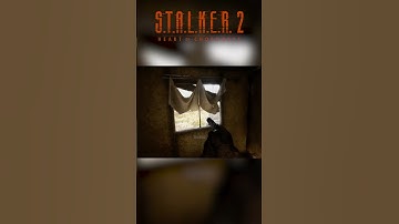 😂 Stalker 2 Developers Added This To Make Fun Of Us #stalker2