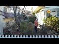 庭木伐採　群馬 前橋