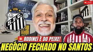 🔥 URGENT! SANTOS SIGNS RODINEI AND ADVANCES FOR PALMIERI! FANS GO WILD!
