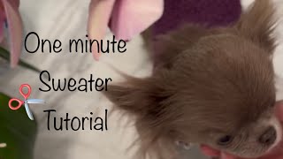 How to make a pet sweater in 1 minute🌸 Easy, fun and $0 cost pet clothes tutorial💕