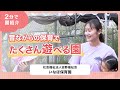 動画サムネイル
