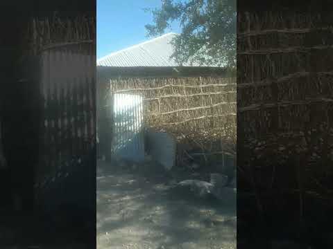 Dugsi Quraankii Yaraanta