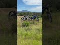 Old clips #emoto #surron #ridstar #talaria #starkvarg #ultrabee #tuttio #bikelife #fyp #viral