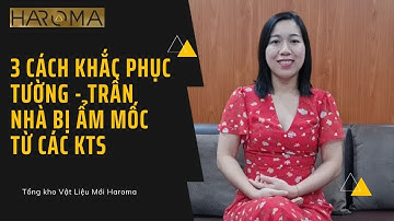 3 Cách khắc phục tình trạng tường, trần nhà bị ẩm mốc của các Kiến Trúc Sư hàng đầu Việt Nam