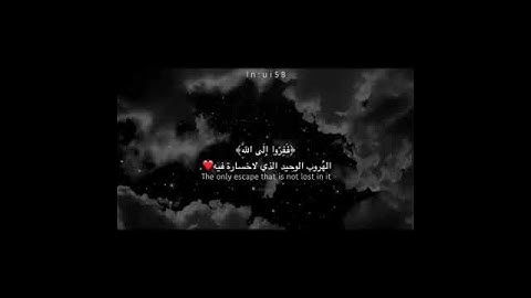 تلاوة القرآن الكريم بصوت أحمد العجمي ❤️🌿 ¦¦ حالات واتساب دينية 2021 ¦¦ تلاوة خاشعة 🥺❤️