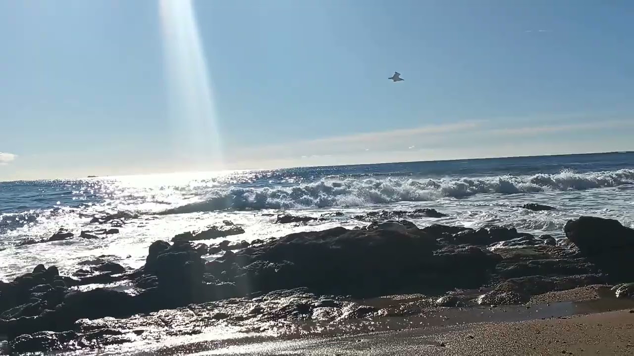 Good Vibrations 👍🏽