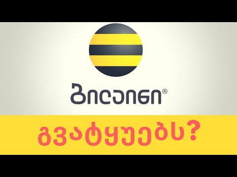 ინტერნეტ პაკეტები - ბილაინი გვატყუებს?