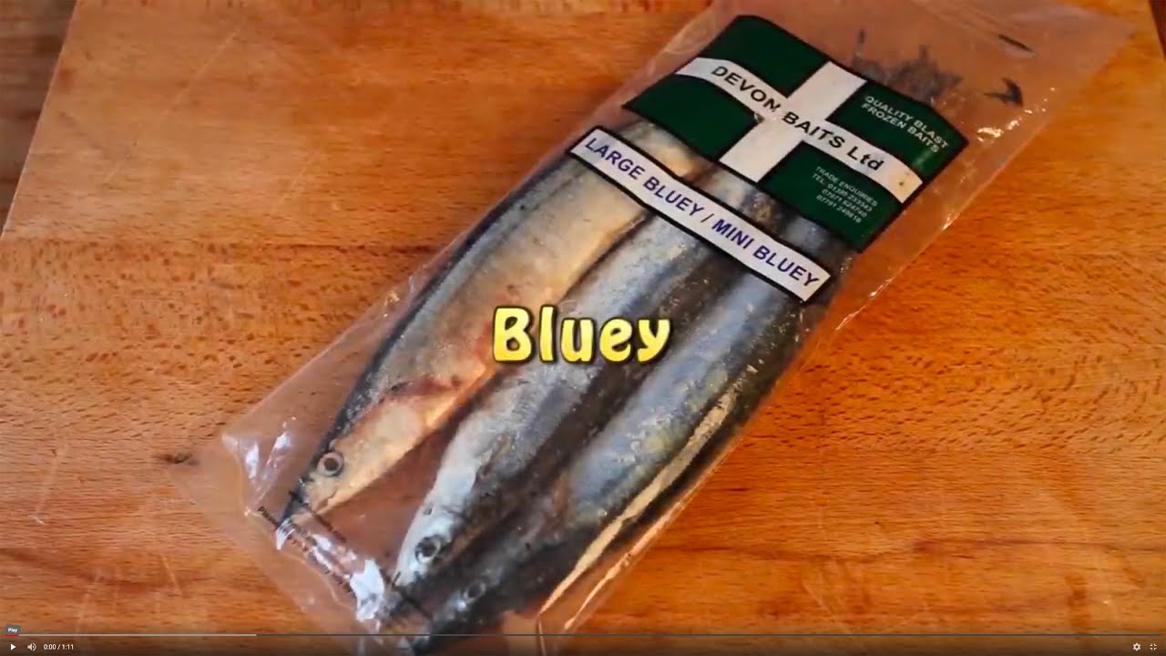 Bass Fishing Baits - How To Fish Bluey 