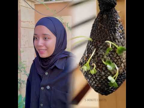 وجهة نظر مشهد هزلي أدوات مضحك تمثيل     فيروسي  قص