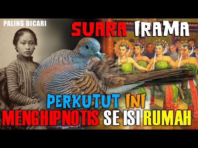 SUARA PERKUTUT INI MEMBUAT RUMAH  TENTRAM class=