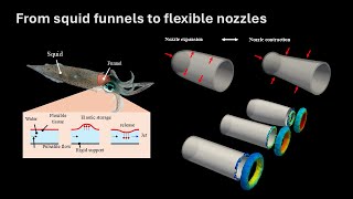 V029 Squidinspired Flexible Nozzle For Underwater Propulsion