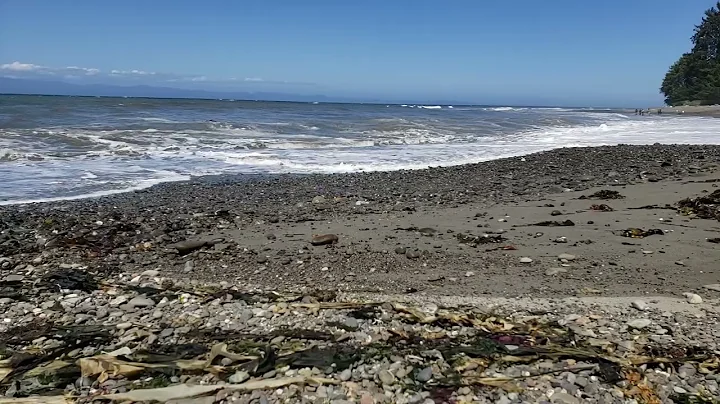 Twin Rivers  WA ‎Tuesday  ‎July ‎2  ‎2024  ‏‎3 17 24 PM