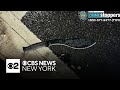 Times Square NYPD machete attacker sentenced