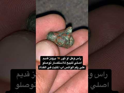 راس وعل او ثور برونز