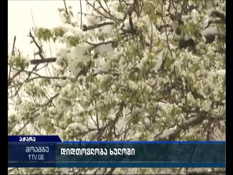 ხულოს რაიონის რამდენიმე სოფელს თოვლის გამო პრობლემები შეექმნა