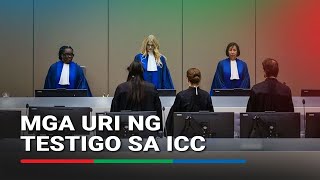 What Are The Four Types Of Witnesses Recognized By The Icc  Abscbn News