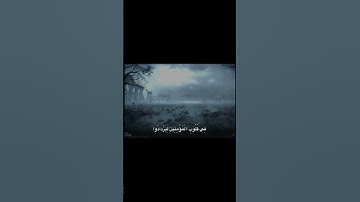 هُوَ الَّذِي أَنزَلَ السَّكِينَةَ فِي قُلُوبِ الْمُؤْمِنِينَ | محمد صديق المنشاوي | سورة الفتح